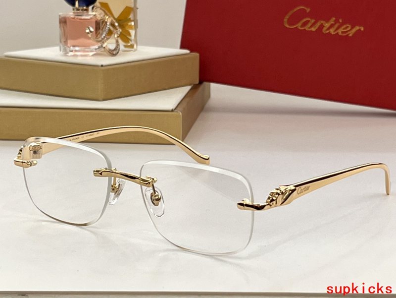 Close-up detail view of Cartier unisex sunglasses