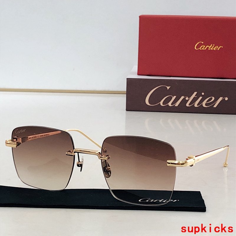 Close-up detail view of Cartier unisex sunglasses