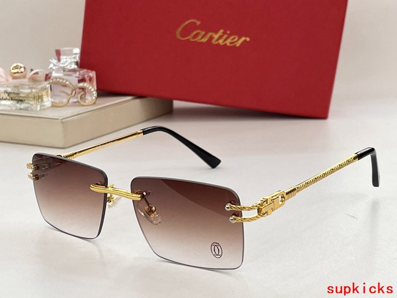 Full view of Cartier unisex sunglasses