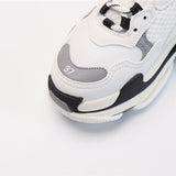 Balenciaga shoes Style 412 - packaging and accessories