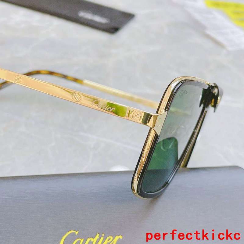Close-up detail view of Cartier unisex sunglasses