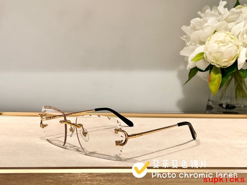 Angled view of Cartier unisex sunglasses