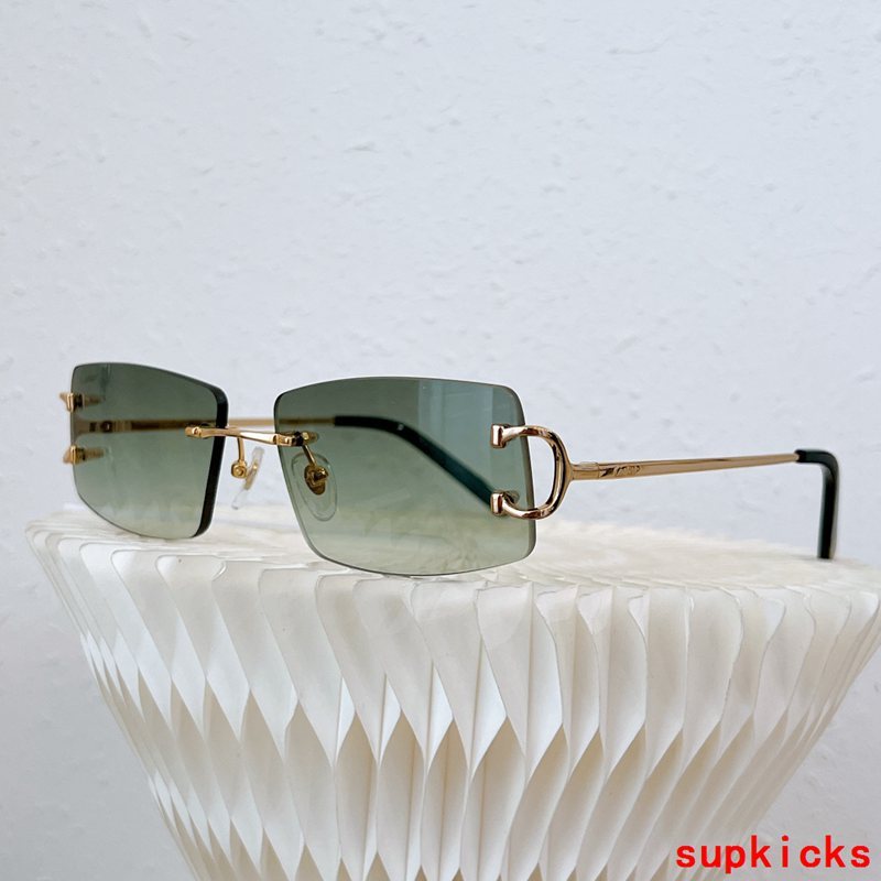 Close-up detail view of Cartier unisex sunglasses