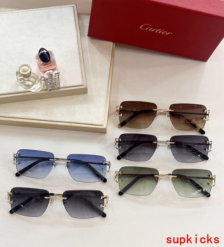 Lifestyle view of Cartier unisex sunglasses