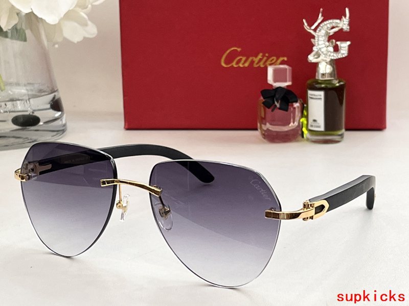 Front view of Cartier unisex sunglasses