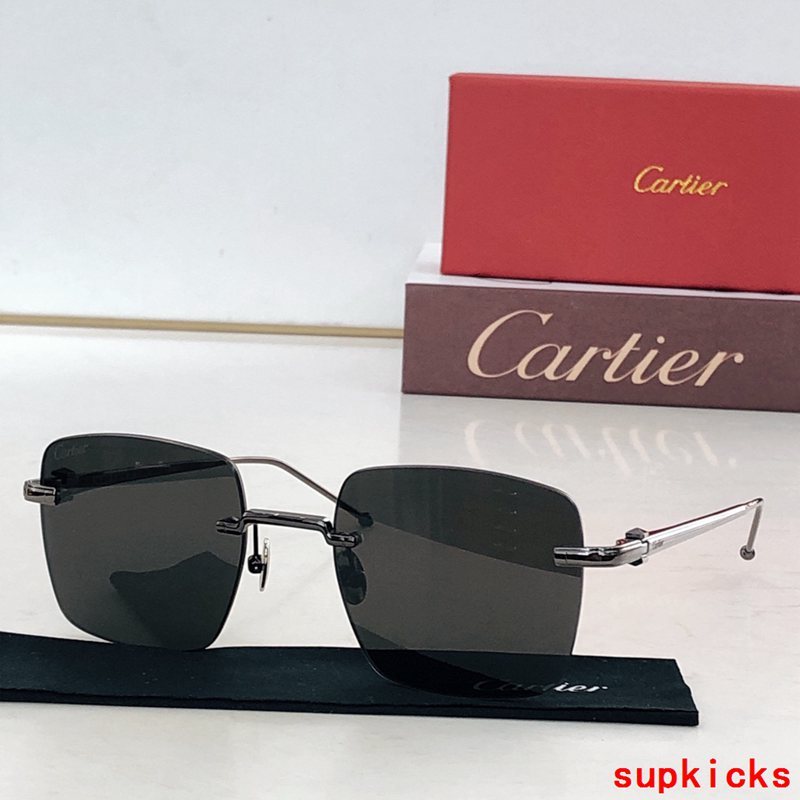 Full view of Cartier unisex sunglasses