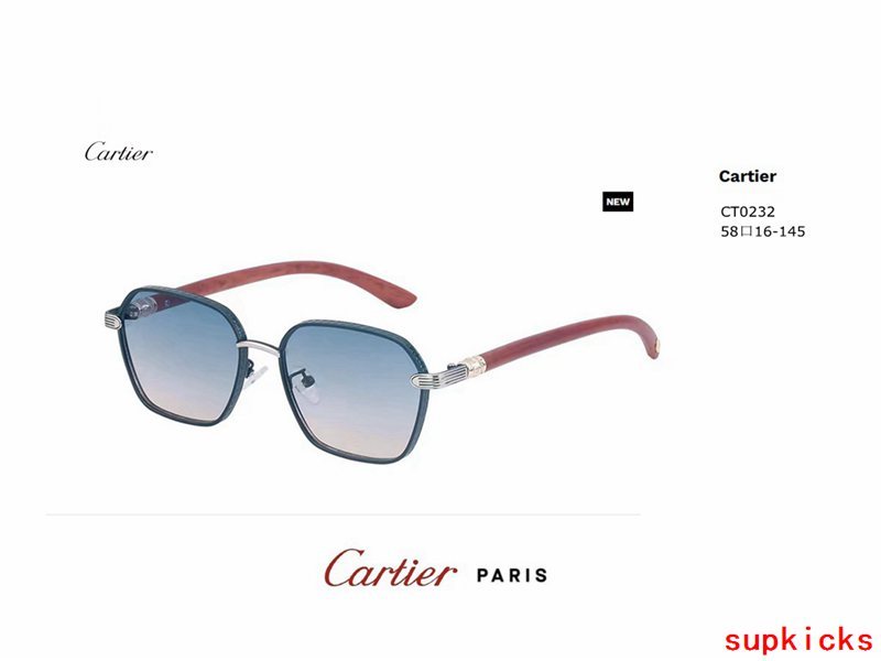 Full view of Cartier unisex sunglasses
