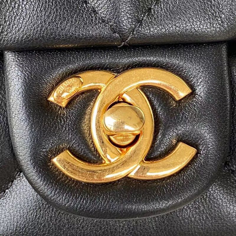 Zivas Charm Everyday Sophistication Designer Handbag (Statement-Ready Design) – Close-Up Detail