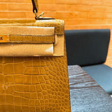 Close-up detail of poised bag design