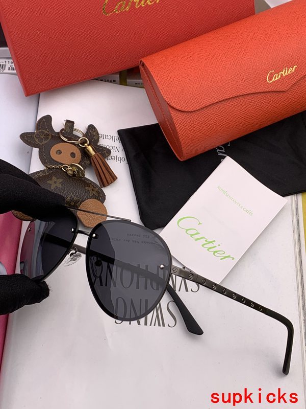 Close-up detail view of Cartier unisex sunglasses