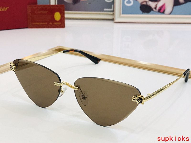 Close-up detail view of Cartier unisex sunglasses