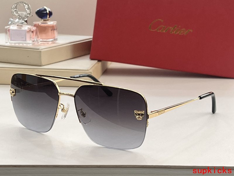Full view of Cartier unisex sunglasses