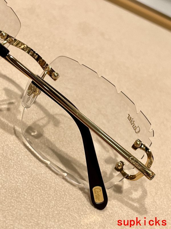 Close-up detail view of Cartier unisex sunglasses