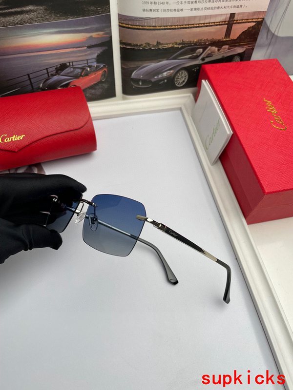 Close-up detail view of Cartier unisex sunglasses