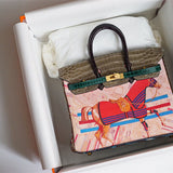  top-handle bag interior and compartment view 21