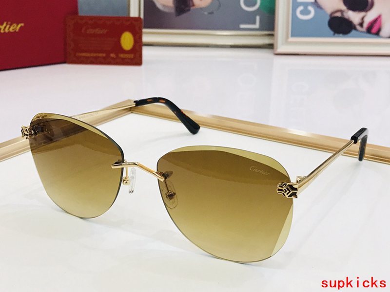 Close-up detail view of Cartier unisex sunglasses
