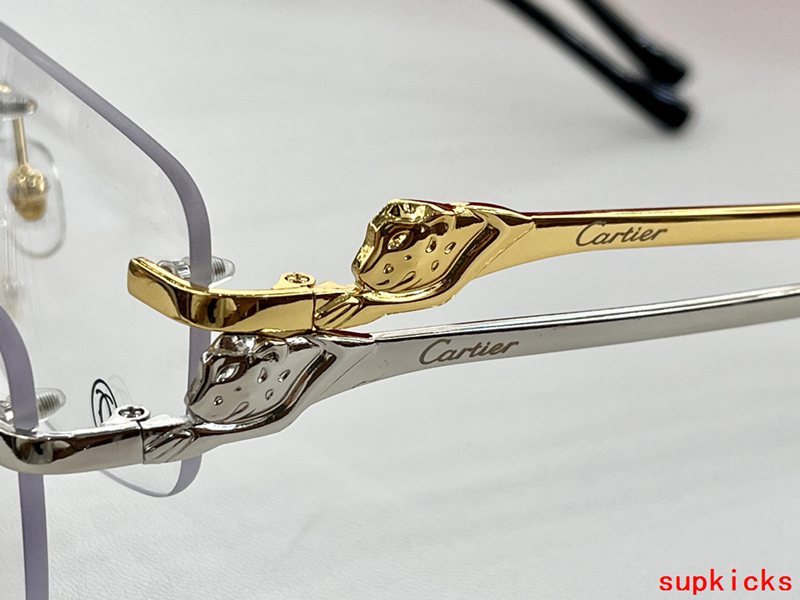 Side view of Cartier unisex sunglasses
