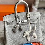  structured bag interior and compartment view 9
