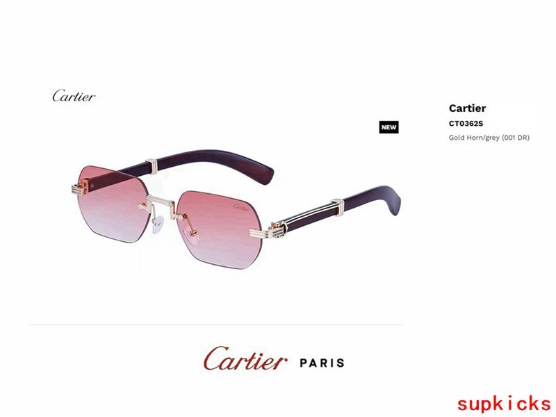Full view of Cartier unisex sunglasses
