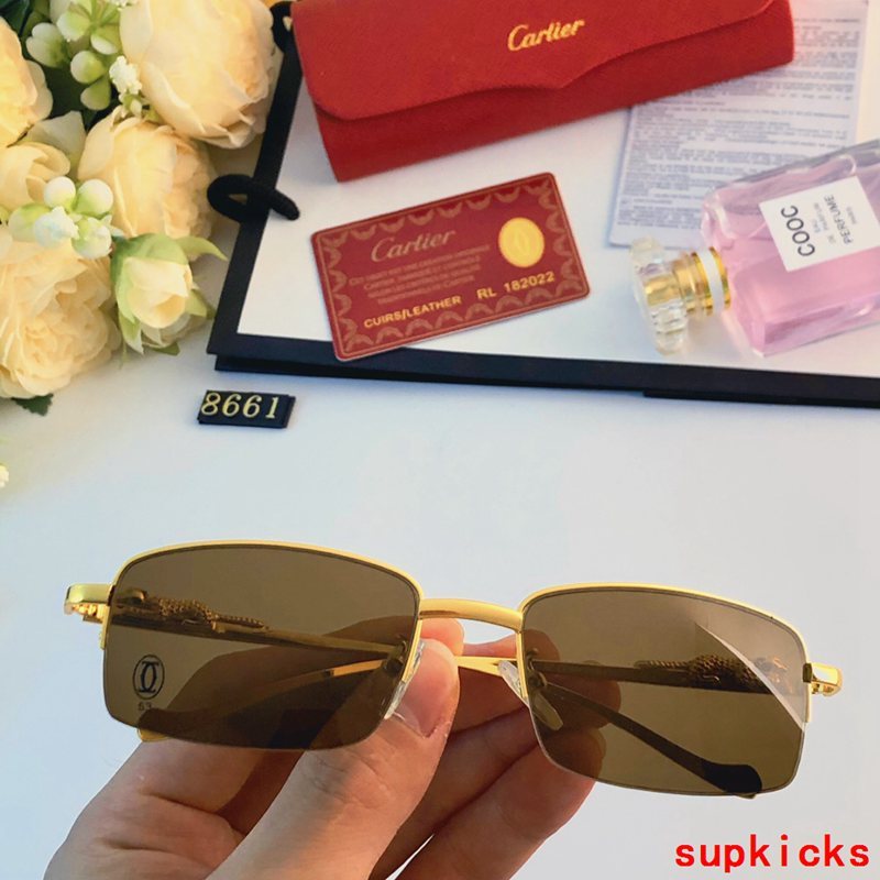 Lifestyle view of Cartier unisex sunglasses