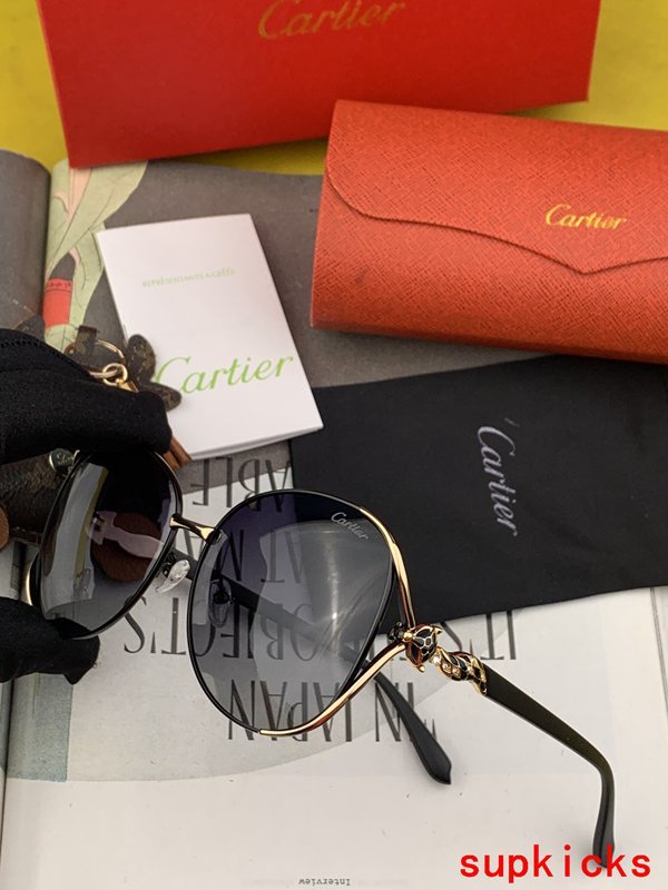 Close-up detail view of Cartier unisex sunglasses