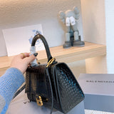 Ziva's Charm handbag – back view (one versatile size)