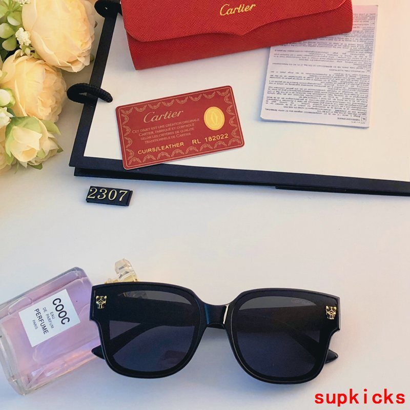 Side view of Cartier unisex sunglasses