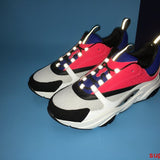 Dior Grey Low-Top Sneakers - Back View