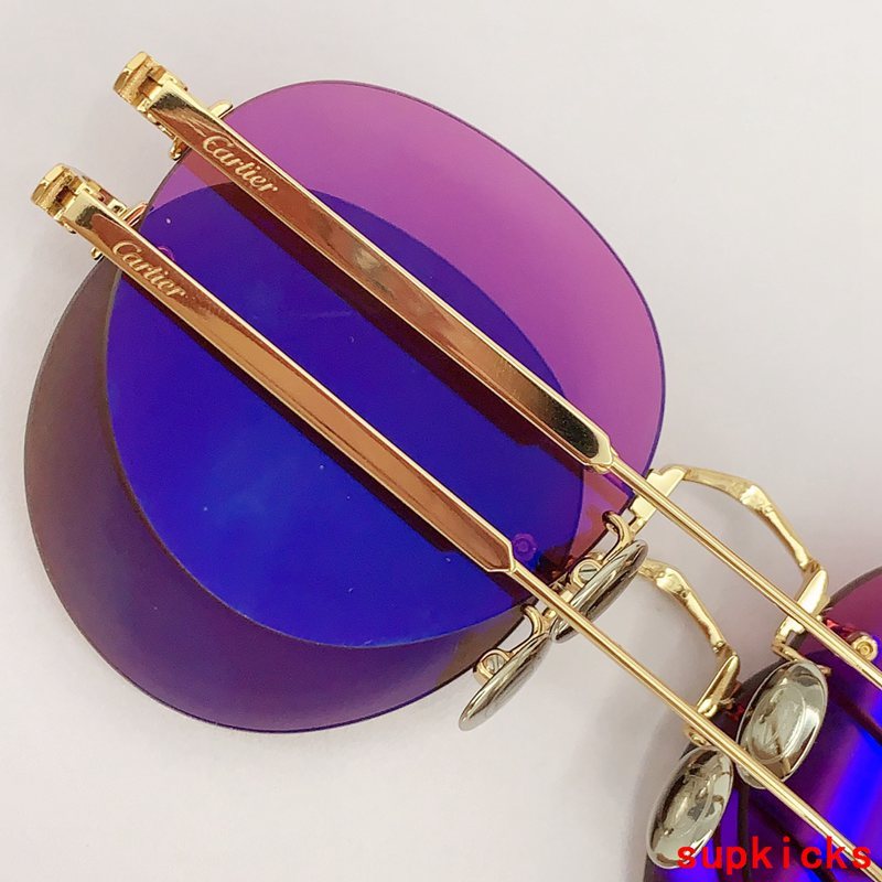 Side view of Cartier unisex sunglasses