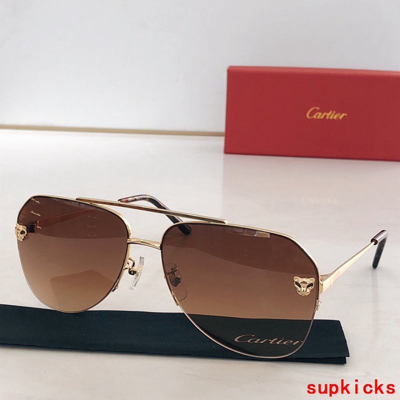 Close-up detail view of Cartier unisex sunglasses