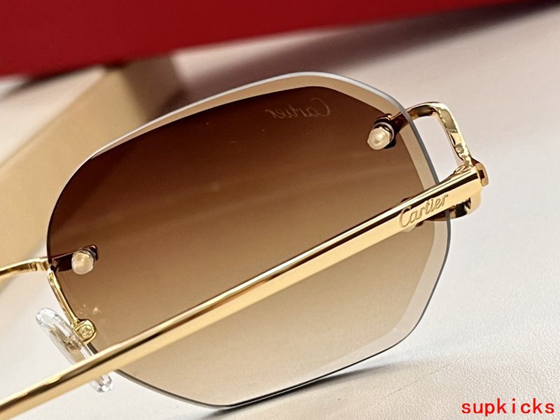Side view of Cartier unisex sunglasses