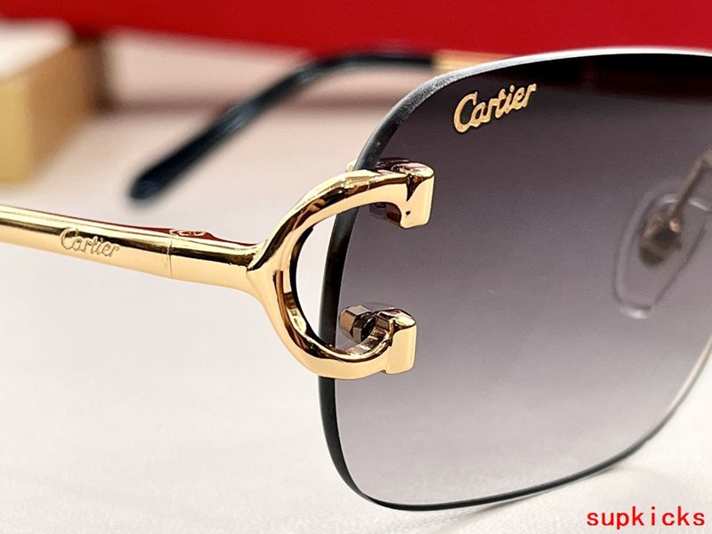 Close-up detail view of Cartier unisex sunglasses