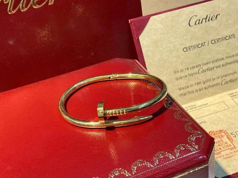 Side view of Cartier unisex jewelry piece