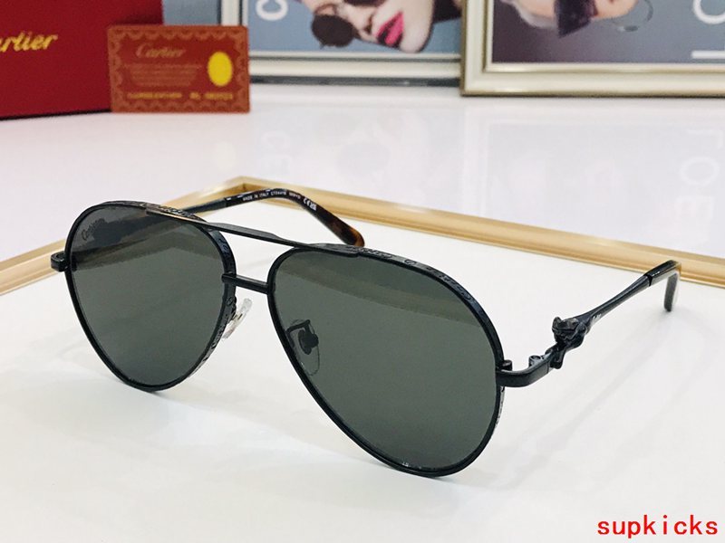 Side view of Cartier unisex sunglasses