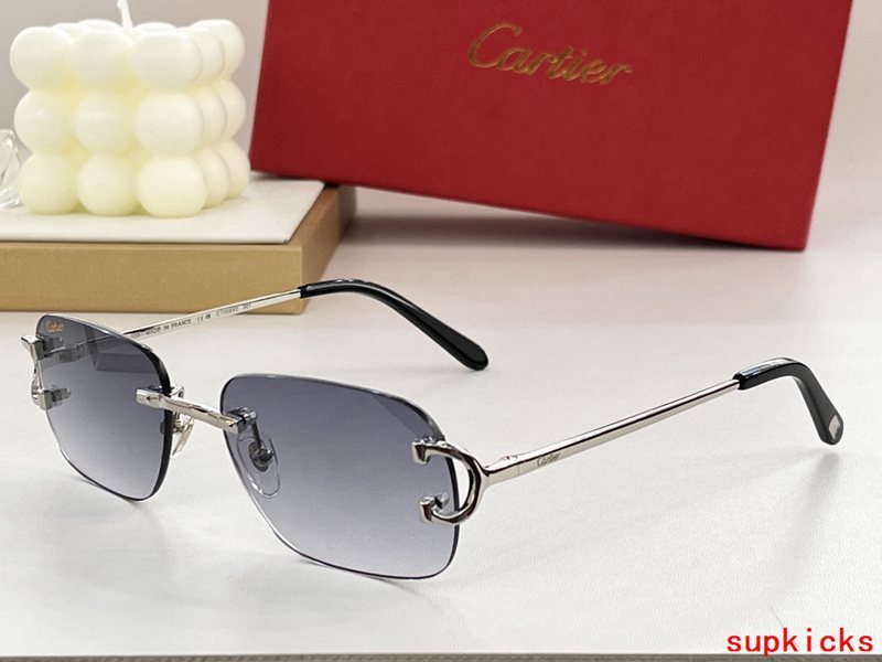 Side view of Cartier unisex sunglasses
