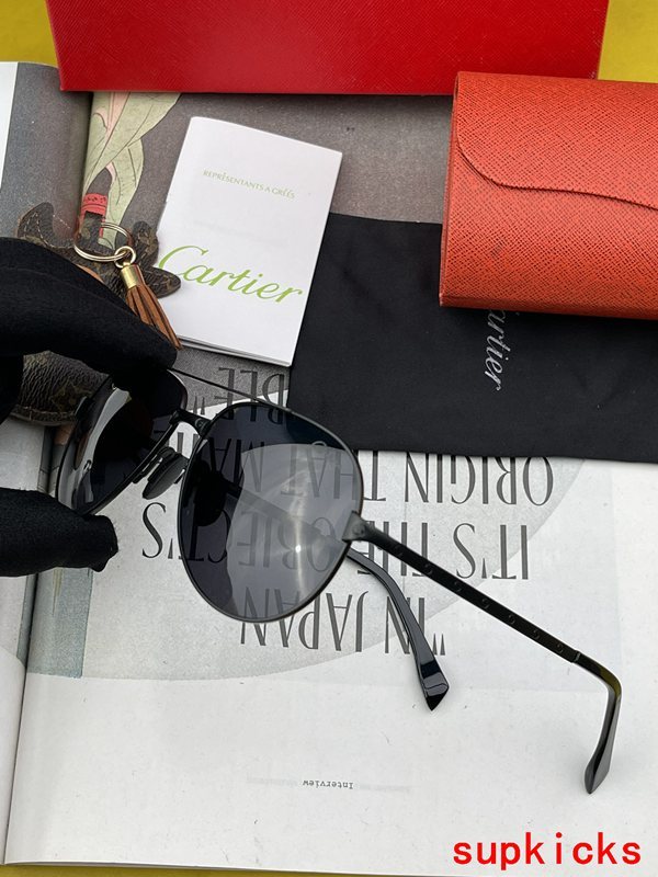 Full view of Cartier unisex sunglasses