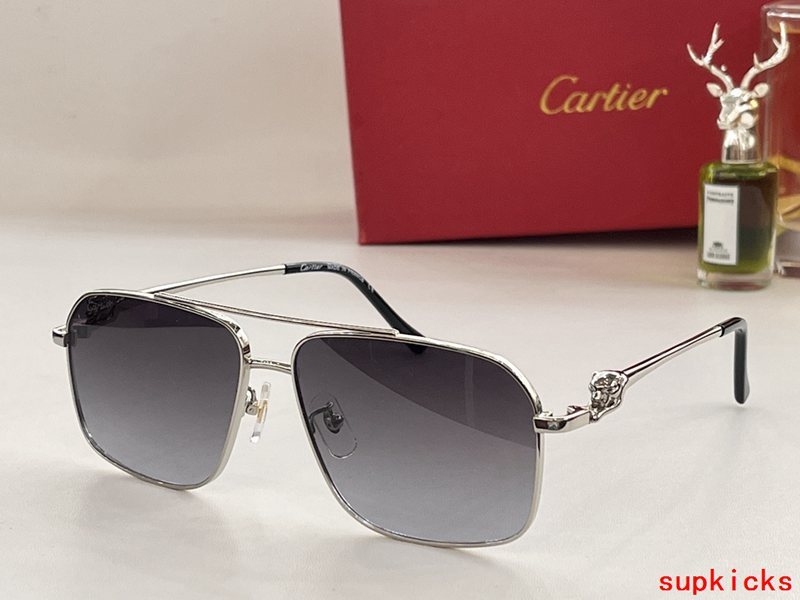 Side view of Cartier unisex sunglasses