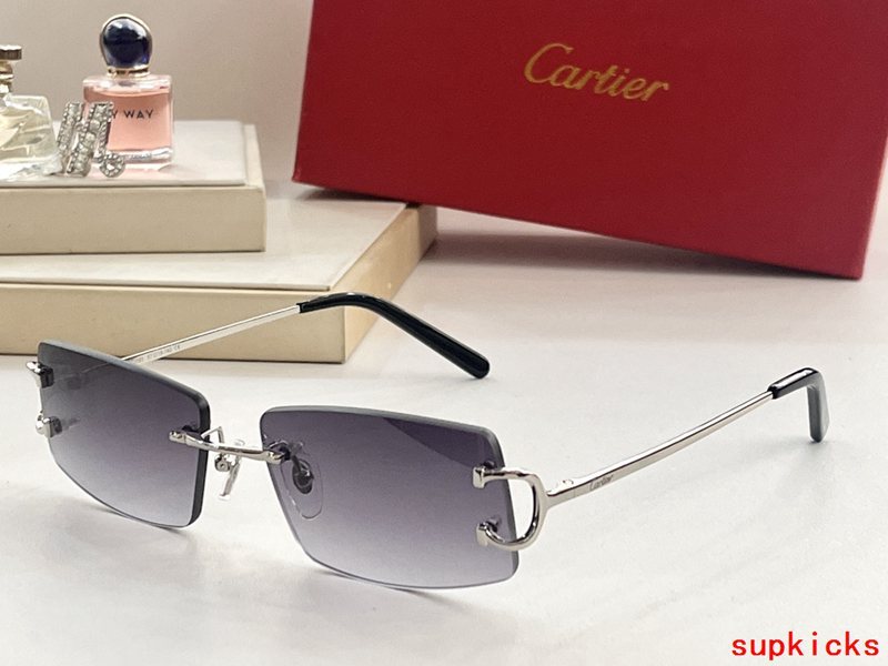 Full view of Cartier unisex sunglasses