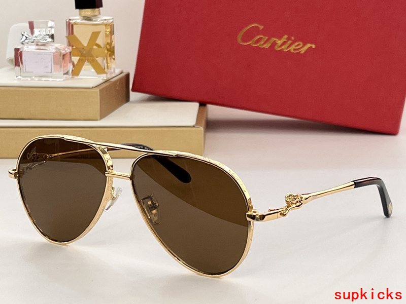 Front view of Cartier unisex sunglasses