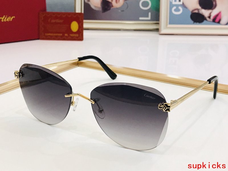 Side view of Cartier unisex sunglasses