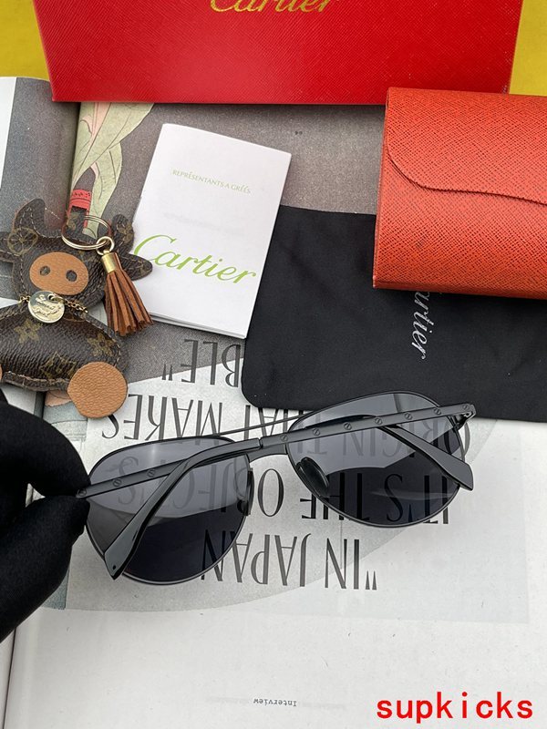 Side view of Cartier unisex sunglasses