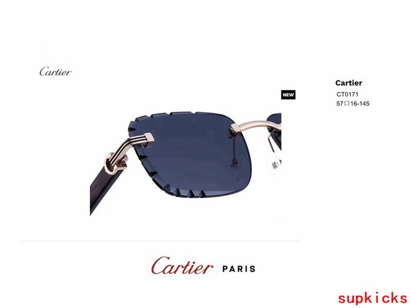 Lifestyle view of Cartier unisex sunglasses