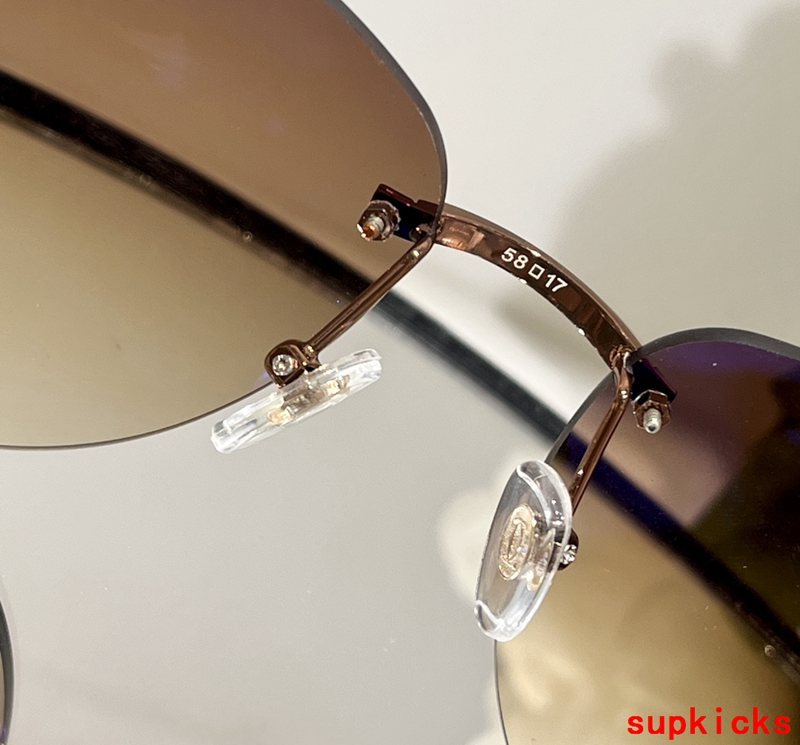 Side view of Cartier unisex sunglasses