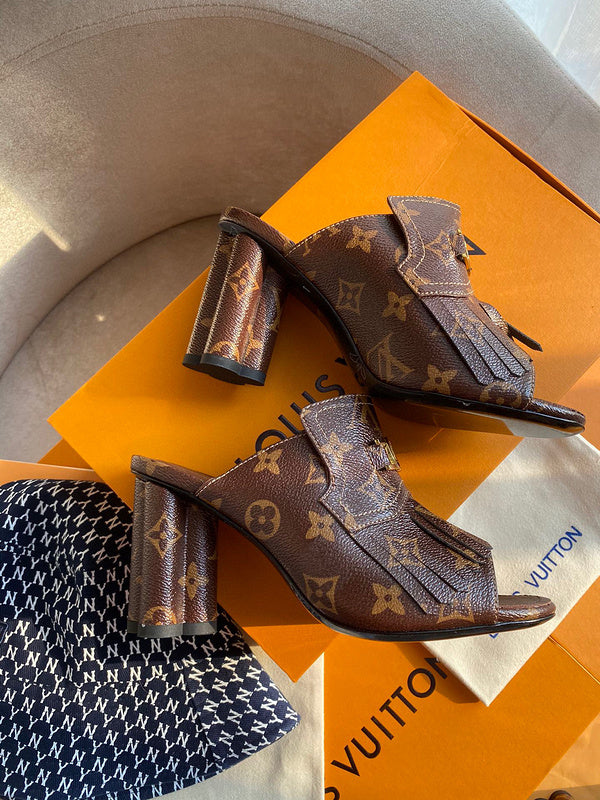 Louis Vuitton luxury shoes product view — premium authentic designer style