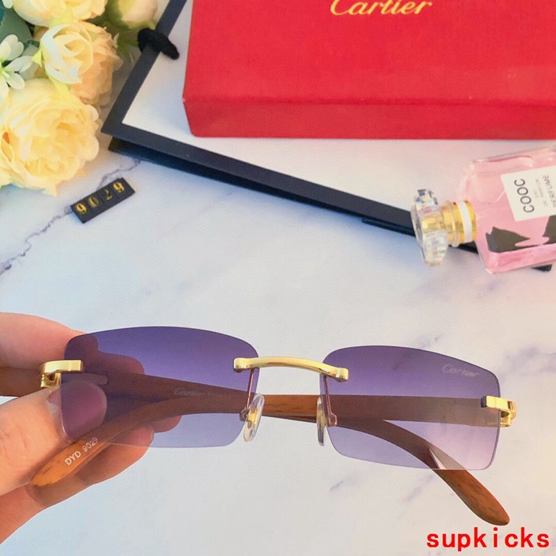 Front view of Cartier unisex sunglasses