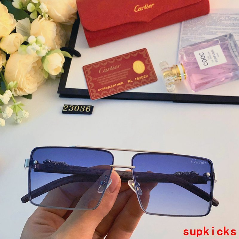 Side view of Cartier unisex sunglasses