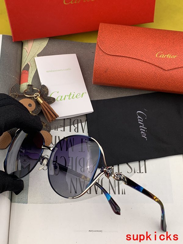 Side view of Cartier unisex sunglasses