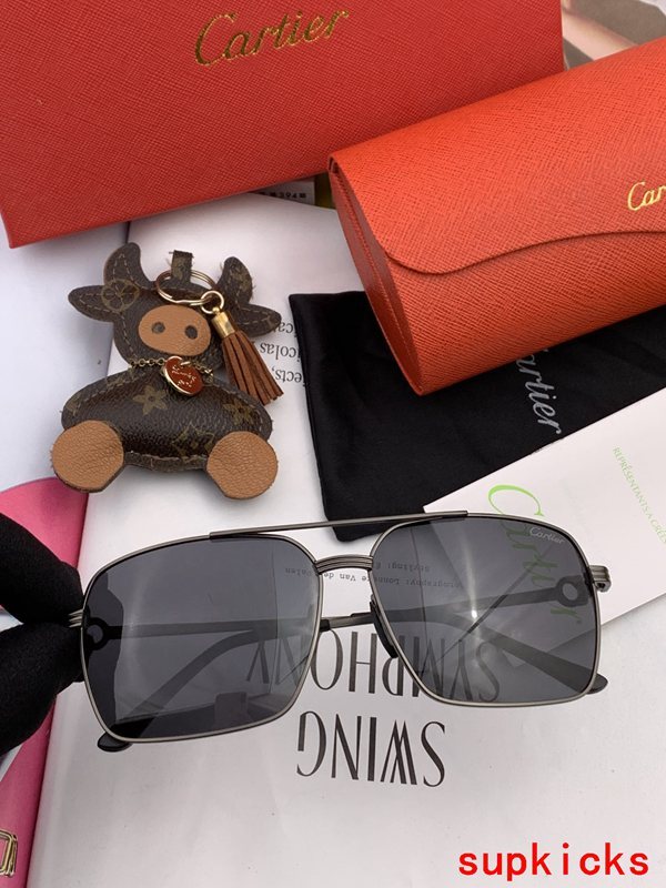 Full view of Cartier unisex sunglasses