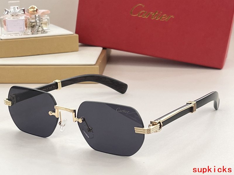 Full view of Cartier unisex sunglasses