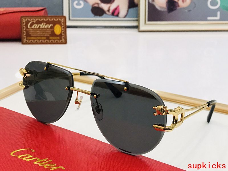 Close-up detail view of Cartier unisex sunglasses